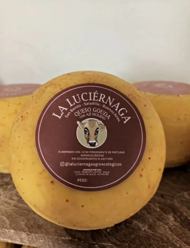🧀 Gouda saborizado agroecológico TOMILLO 250g