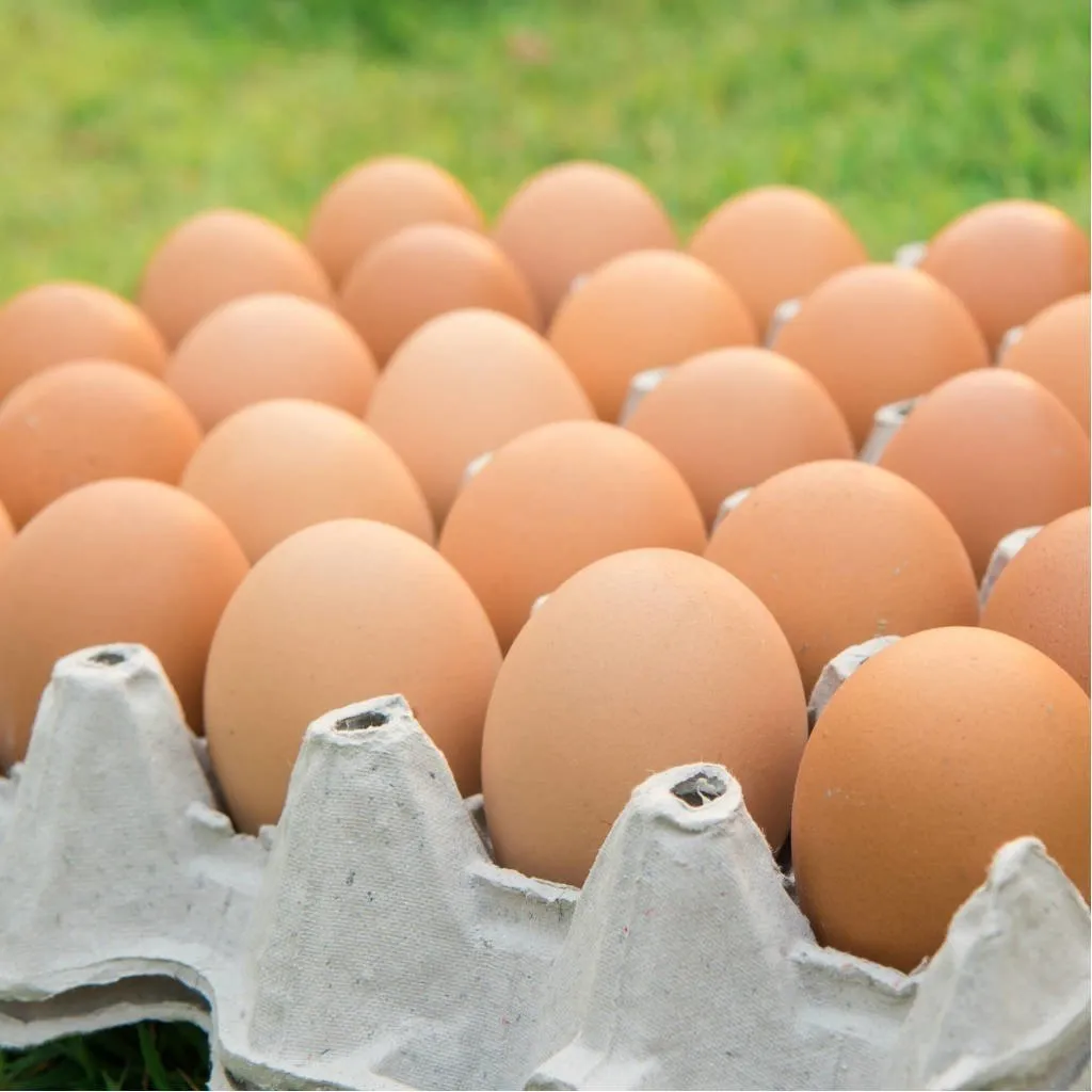 🥚 Maple de Huevos de Gallinas de Libre Pastoreo
