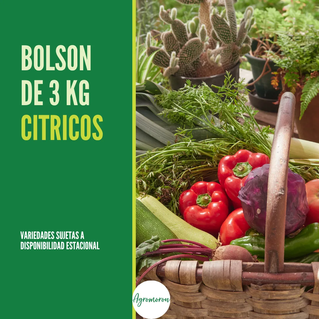 Bolsón de cítricos –2.5 kg