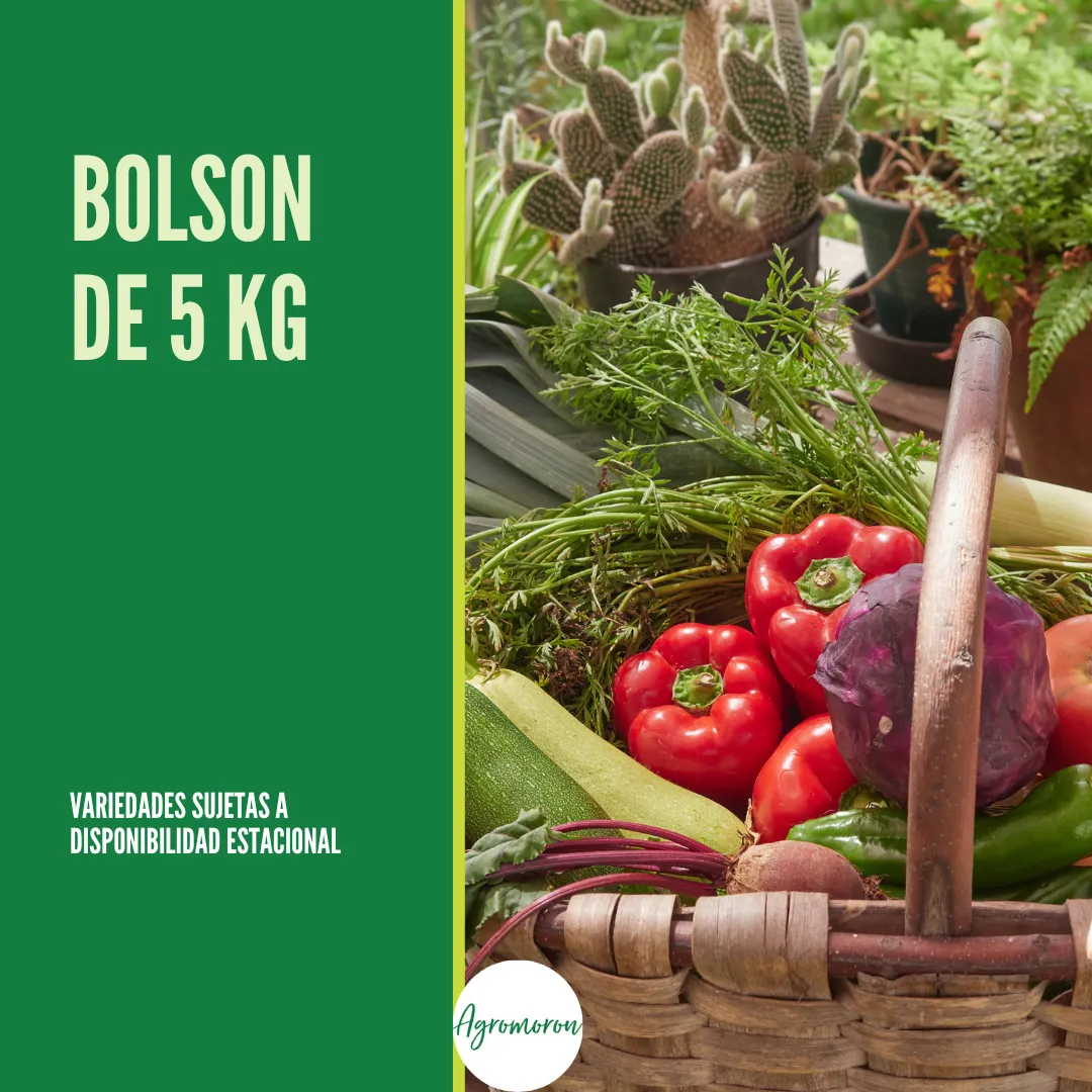 Bolsón agroecológico de verduras – 5 kg