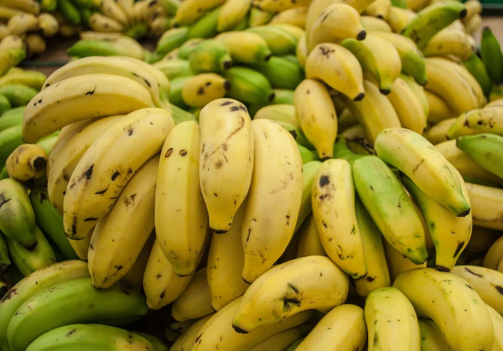 🍌 Banana kg