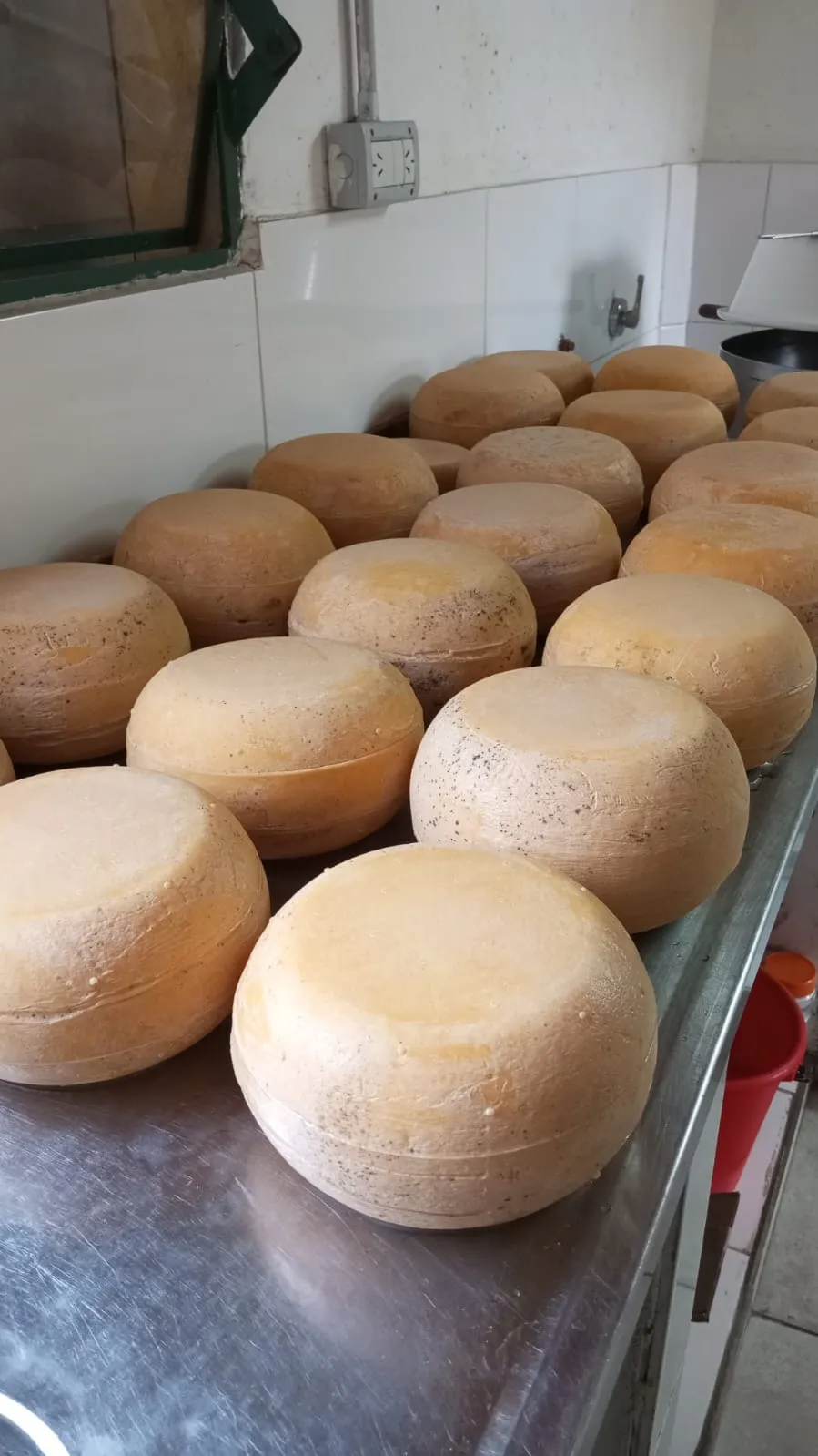 🧀 Sardo agroecológico  500g