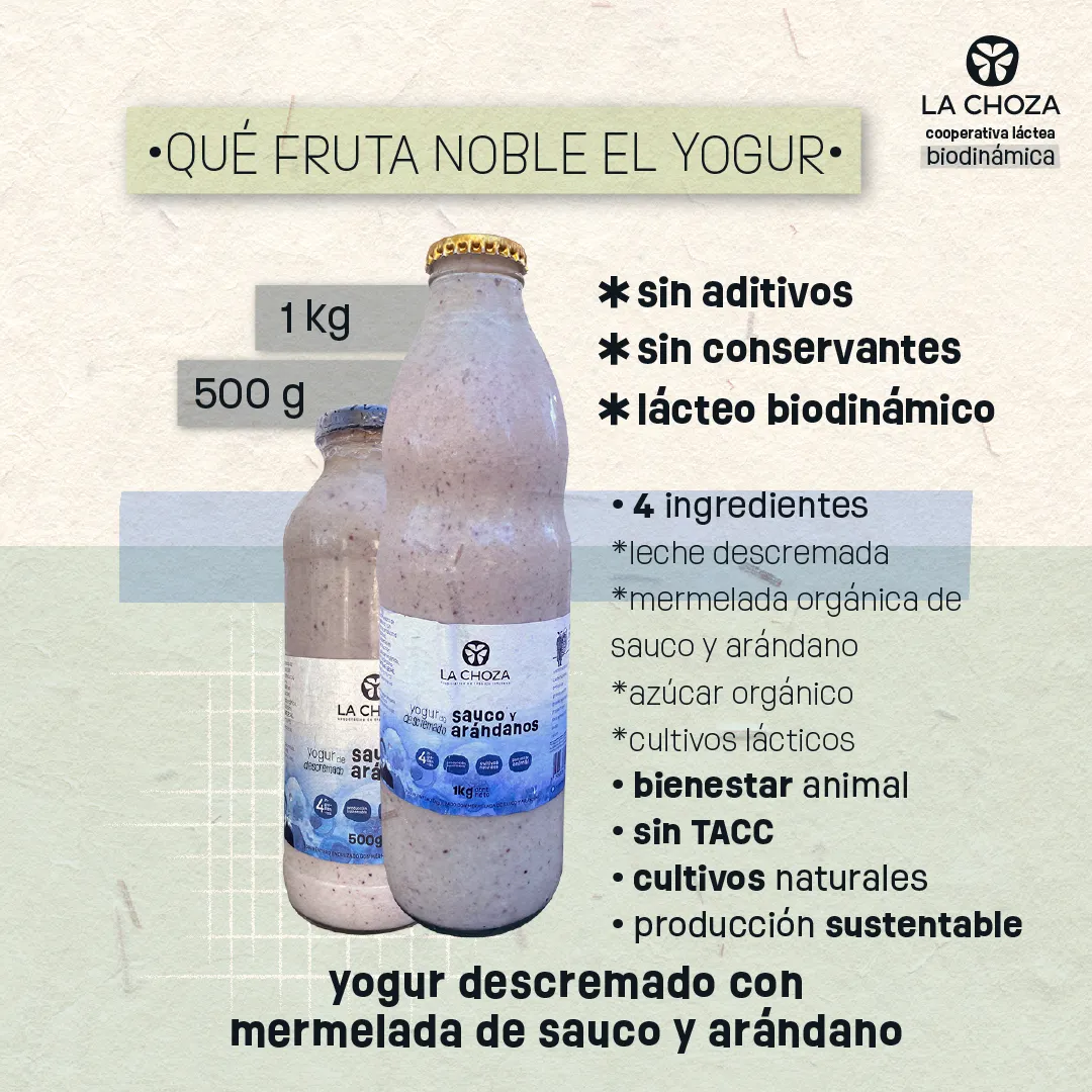🍓 Yogurt Descremado Saborizado 1L “La Choza” ARANDANOS Y SAUCO