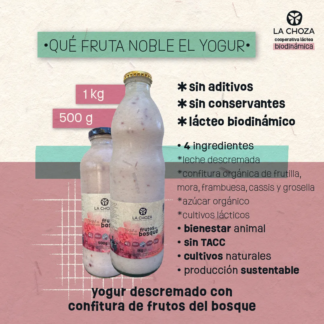 🍓 Yogurt Descremado Saborizado 1L “La Choza” FRUTOS DEL BOSQUE