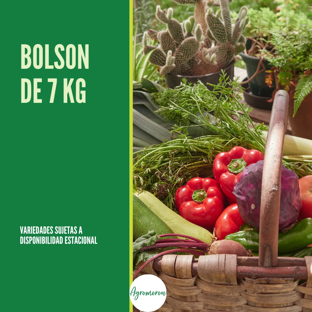 Bolsón agroecológico de verduras – 7 kg