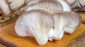🍄 Gírgolas 200g