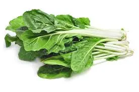 🥬 Acelga